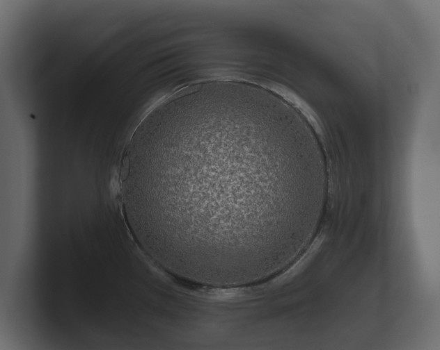 X0000100751385200806261534