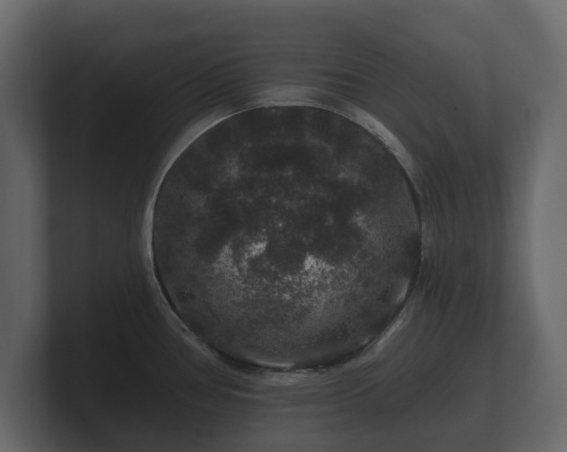 X0000100751386200806261534