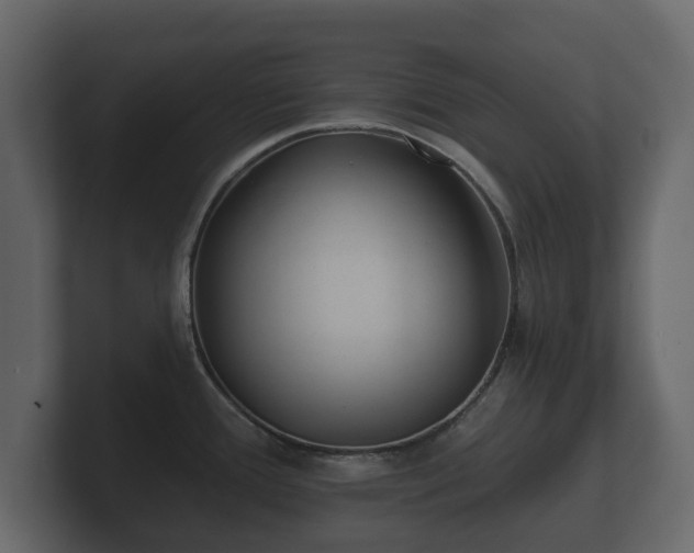 X0000100751388200806261534