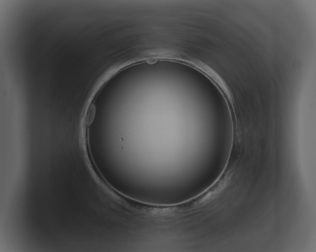 X0000100751389200806261534