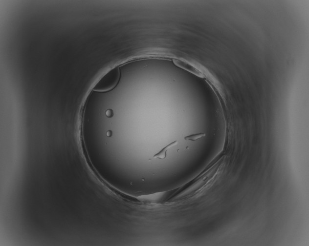 X0000100751390200806261534