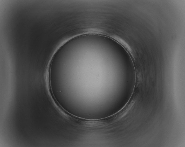 X0000100751391200806261534