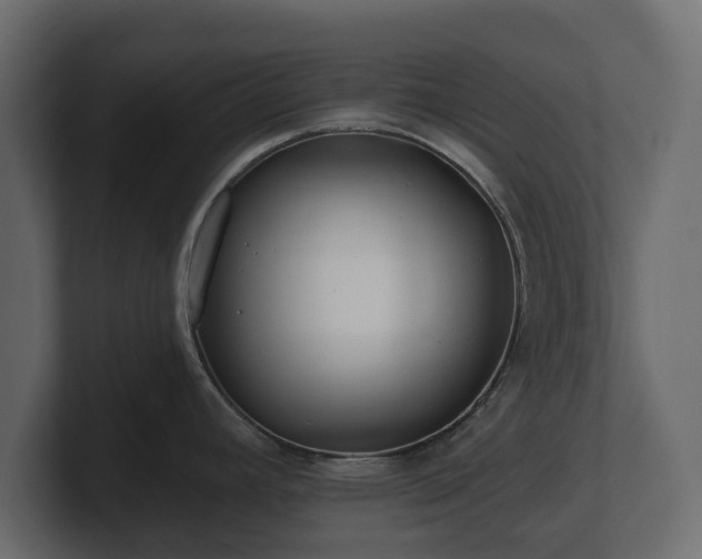 X0000100751392200806261534