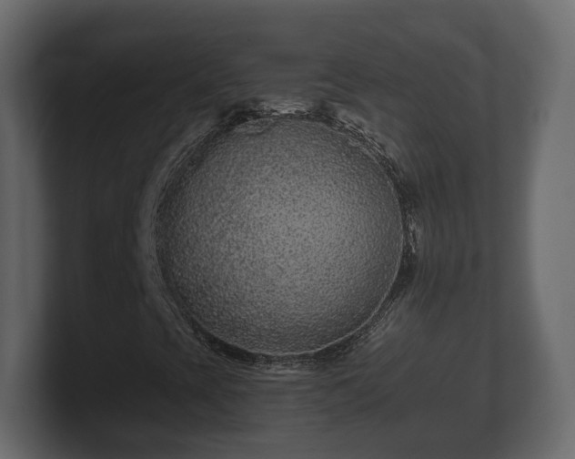 X0000100751393200806261534