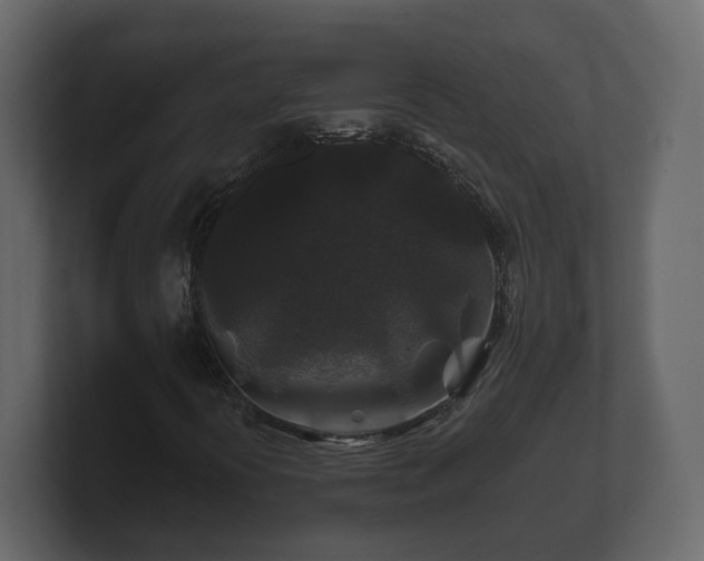 X0000100751394200806261534