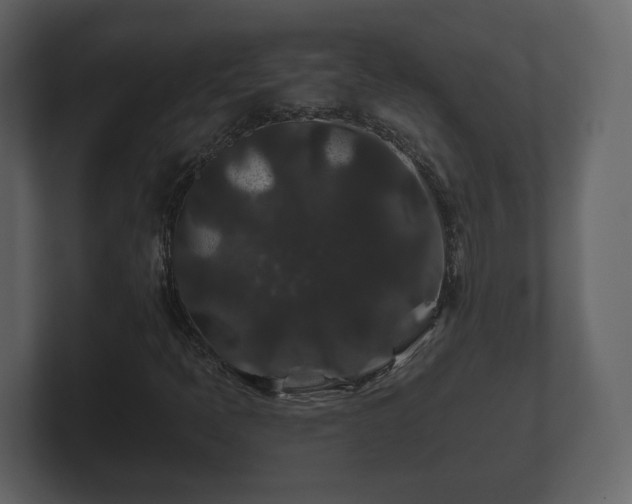 X0000100751397200806261534