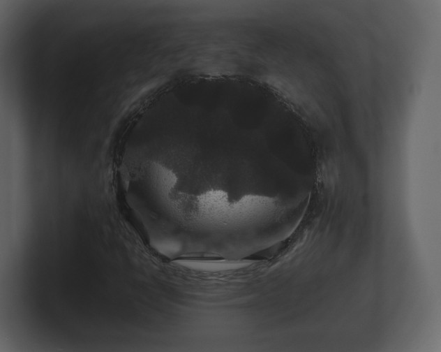 X0000100751398200806261534