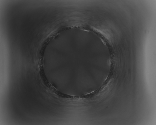 X0000100751399200806261534