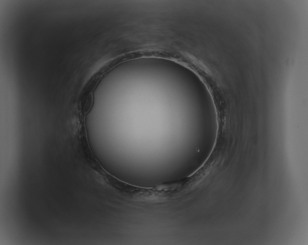 X0000100751400200806261534