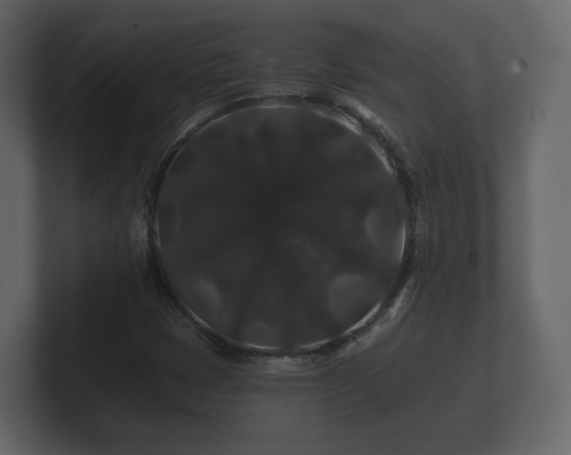 X0000100751401200806261534