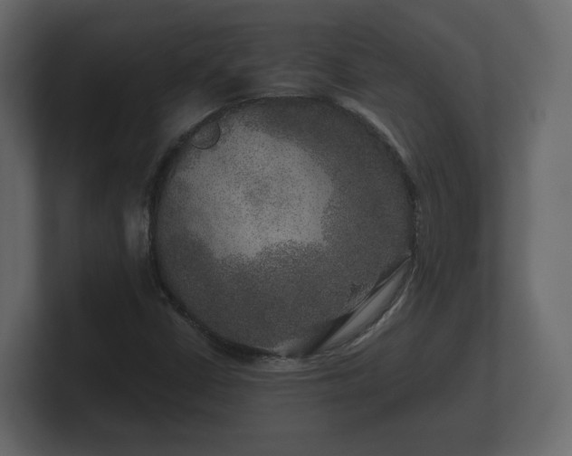 X0000100751402200806261534