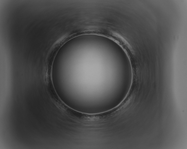 X0000100751403200806261534