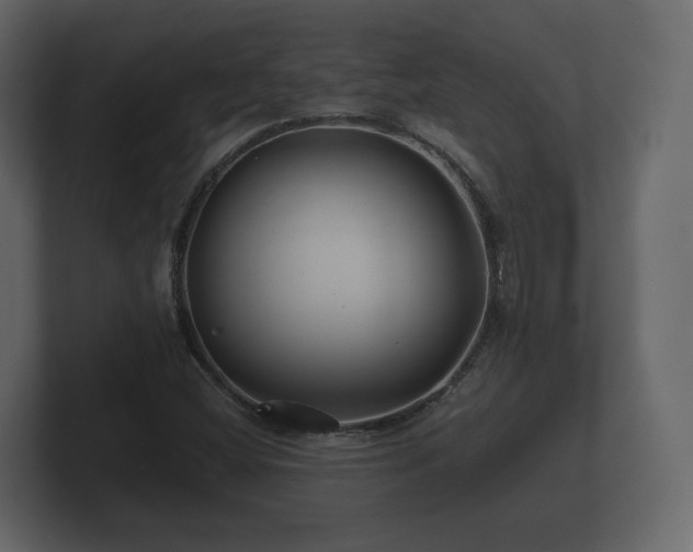 X0000100751404200806261534