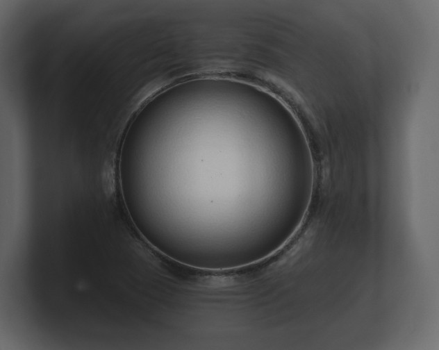 X0000100751409200806261534