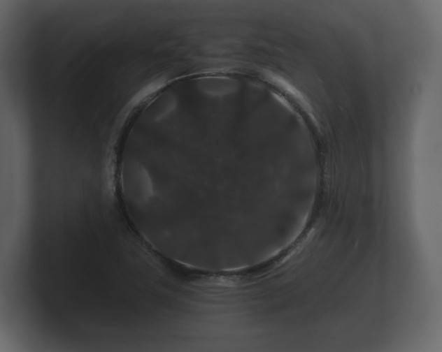 X0000100751411200806261534