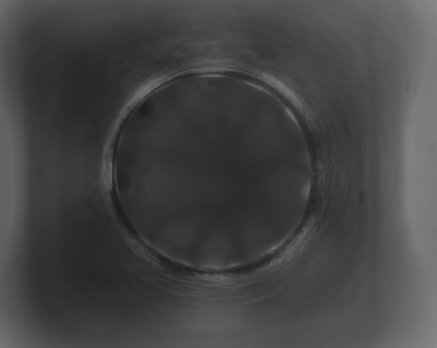 X0000100751413200806261534