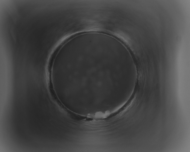 X0000100751414200806261534