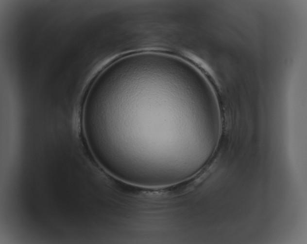 X0000100751415200806261534