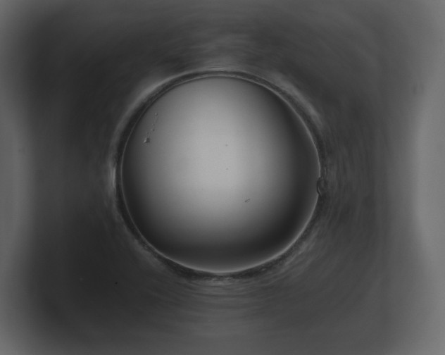 X0000100751416200806261534