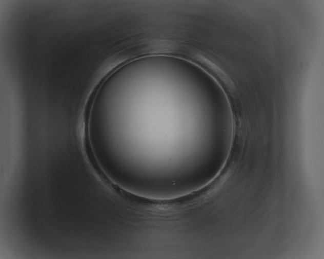 X0000100751418200806261534