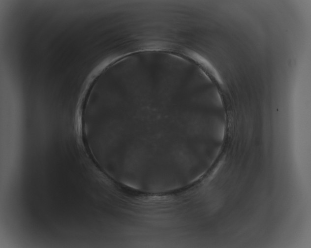 X0000100751419200806261534