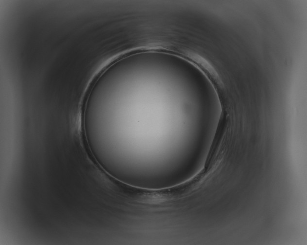 X0000100751420200806261534