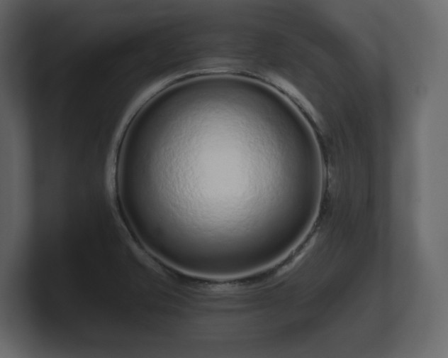 X0000100751421200806261534