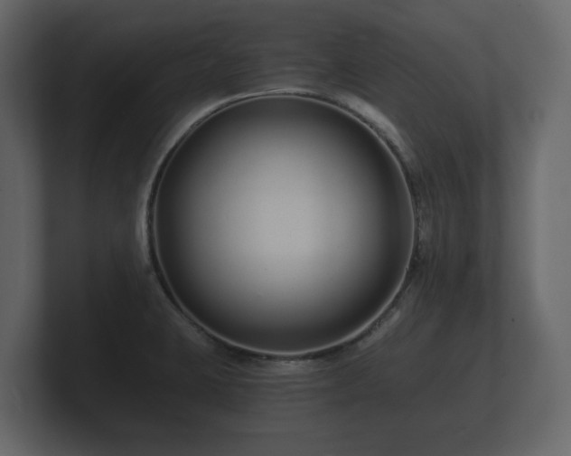 X0000100751423200806261534