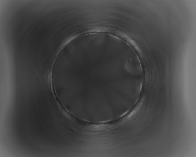 X0000100751425200806261534