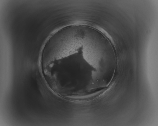 X0000100751429200806261534