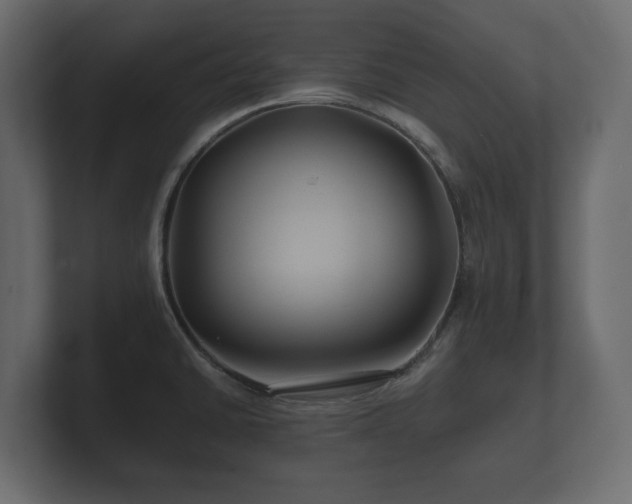 X0000100751430200806261534