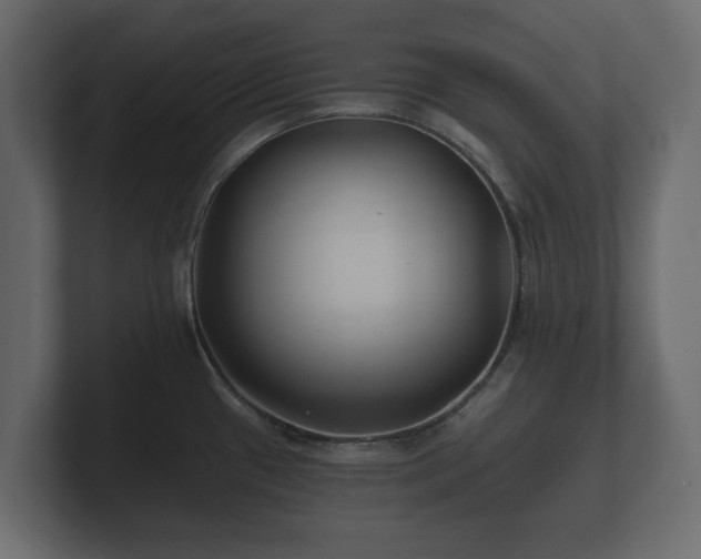 X0000100751433200806261534