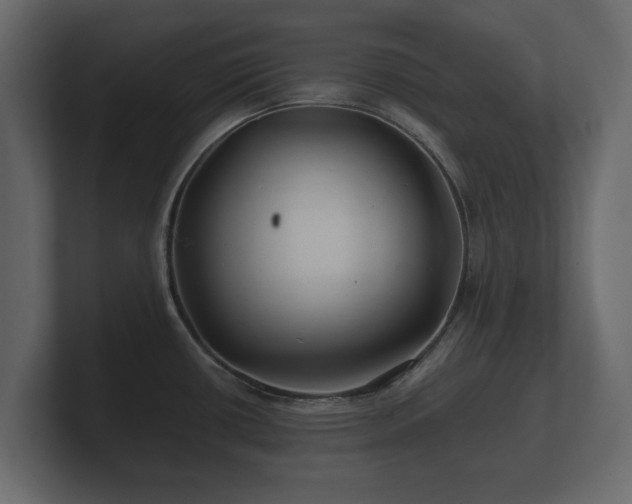 X0000100751434200806261534