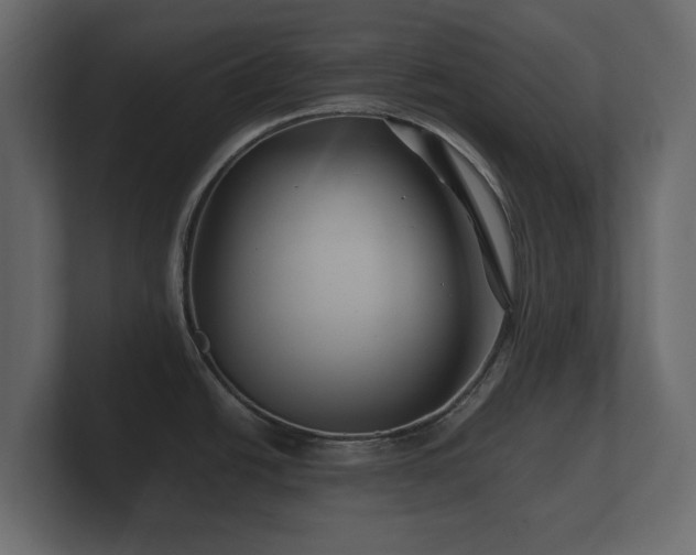 X0000100751438200806261534