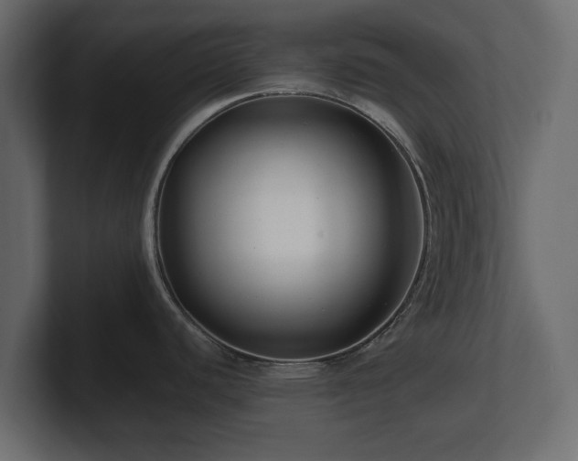 X0000100751440200806261534