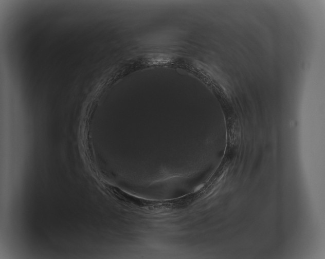 X0000100751441200806261534