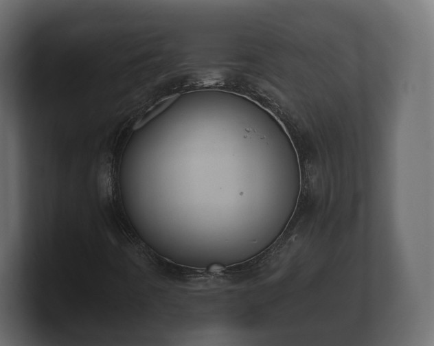 X0000100751442200806261534