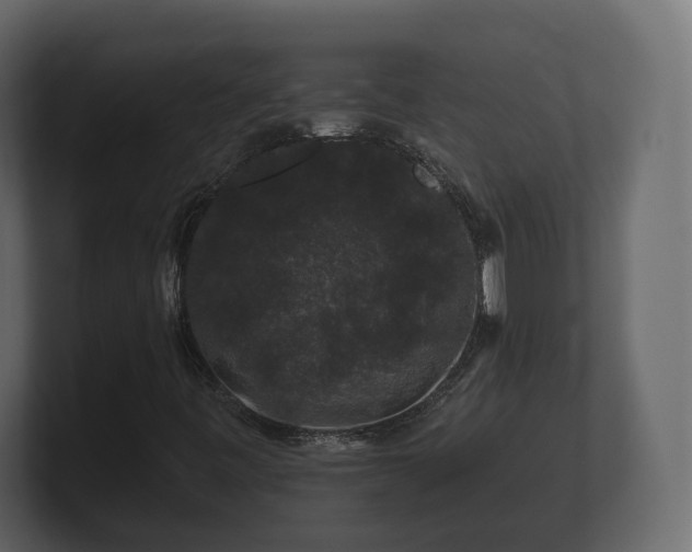 X0000100751443200806261534