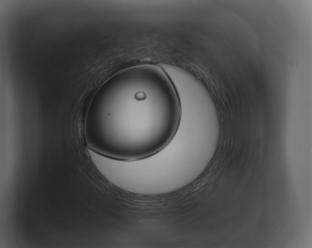 X0000100751444200806261534