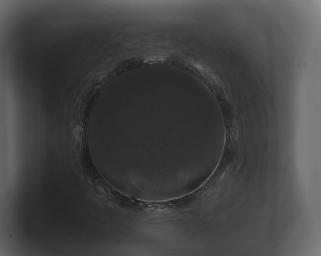 X0000100751445200806261534