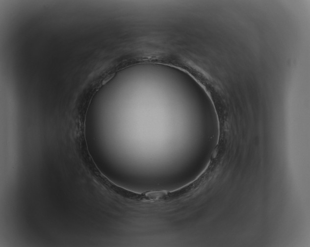 X0000100751447200806261534