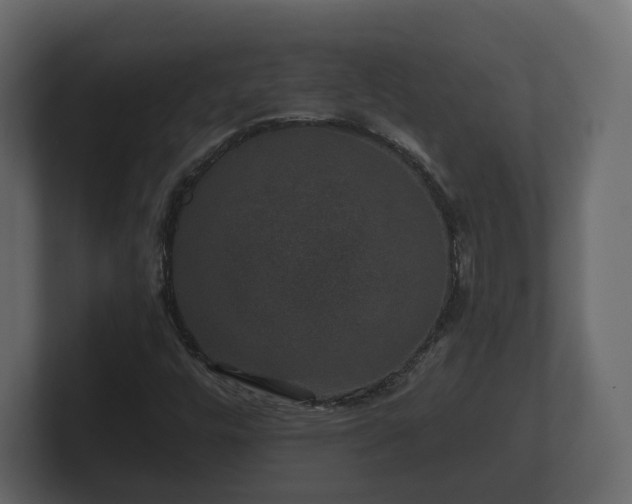 X0000100751448200806261534