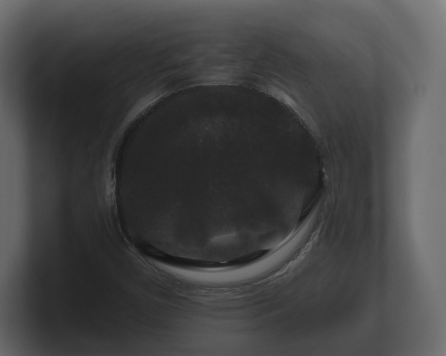 X0000100751450200806261534