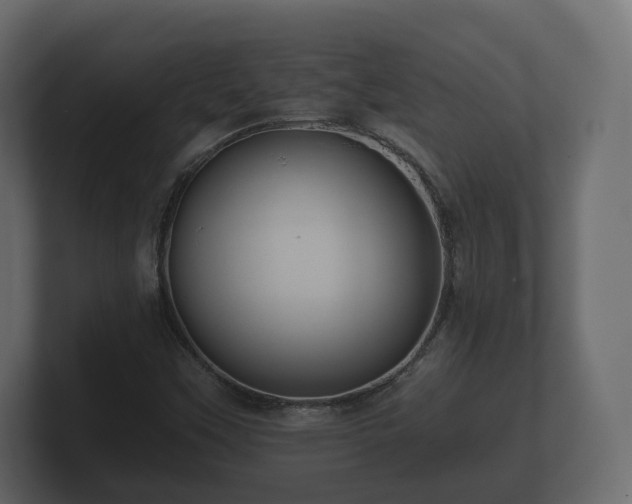 X0000100751451200806261533