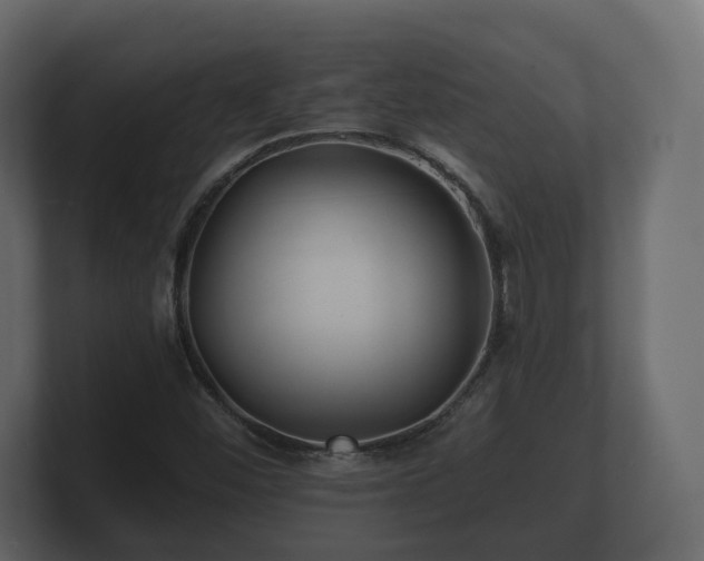 X0000100751452200806261533