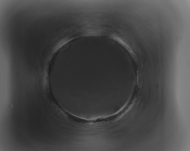 X0000100751453200806261533