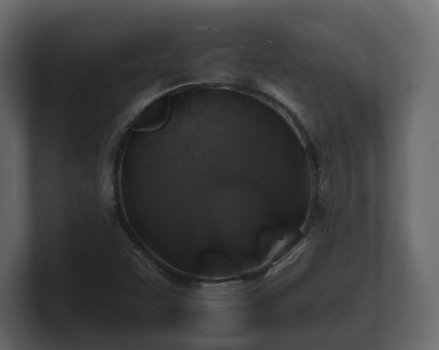 X0000100751455200806261533