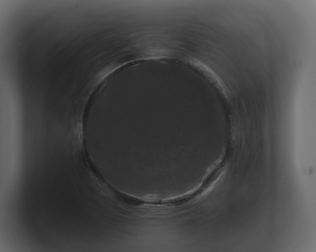 X0000100751457200806261533