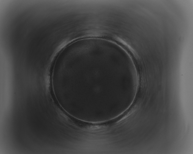 X0000100751459200806261533