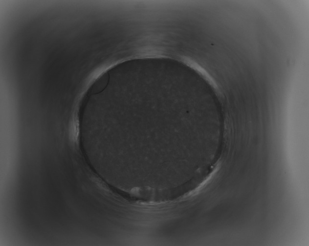 X0000100751461200806261533